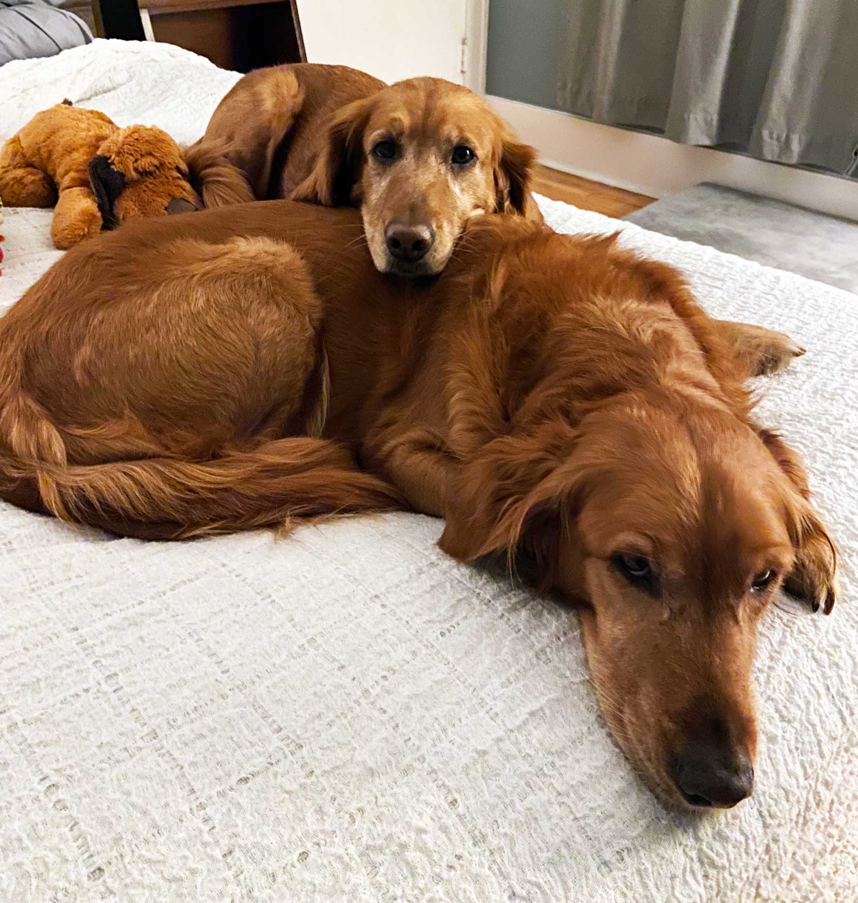 Bumblee Bee and Millie