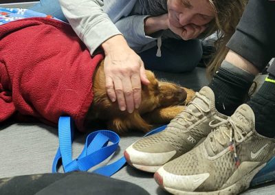 Rose snuggles with Bee at the vet