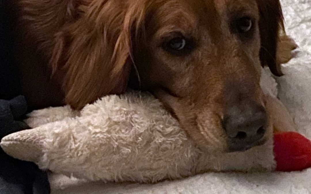 I Took The Girls Out To The River House