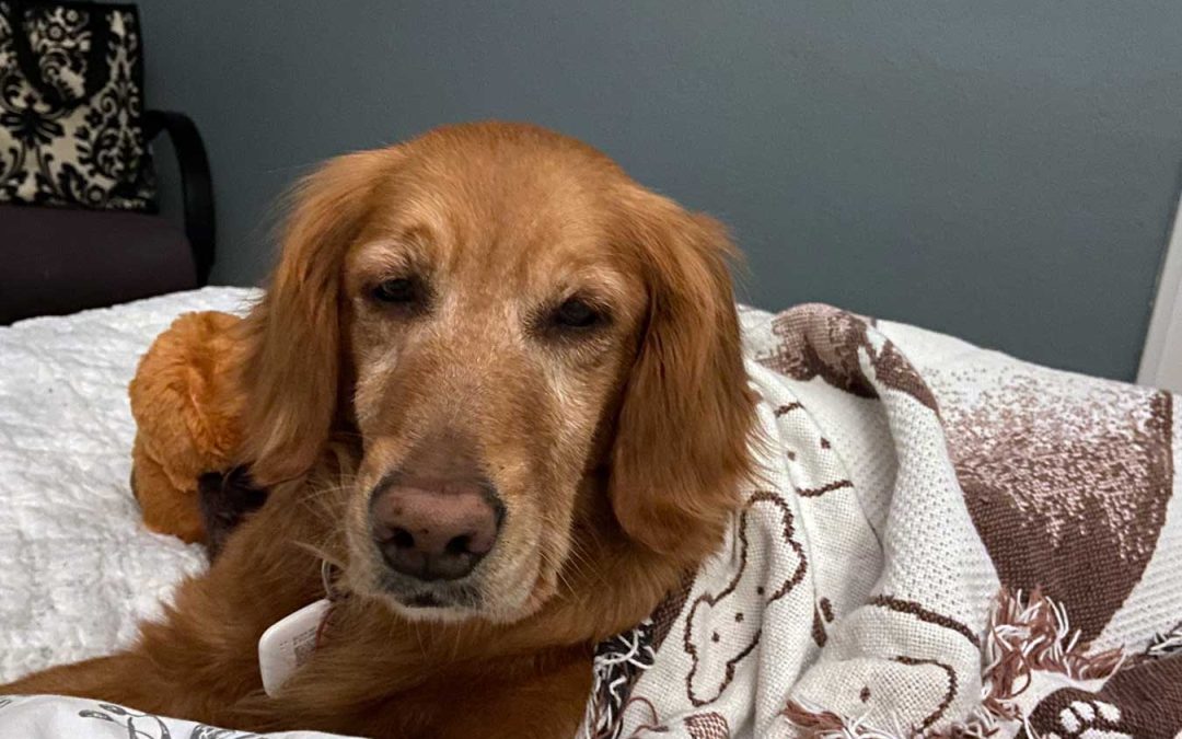 X-rays Came Back Clear